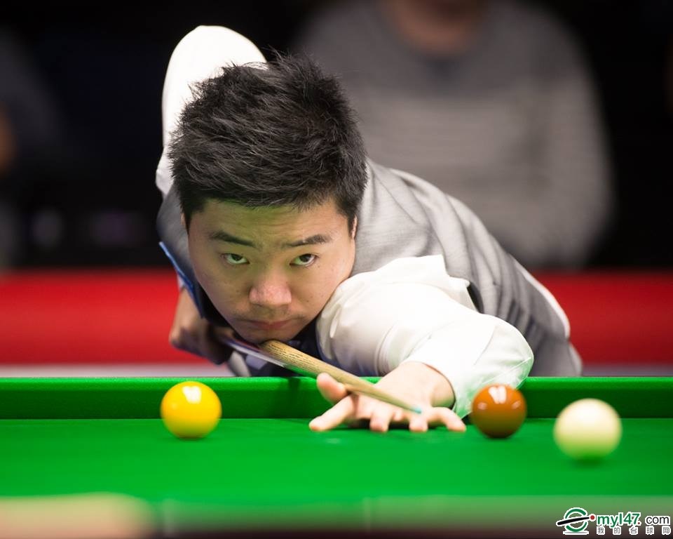 力的体现 力的体现