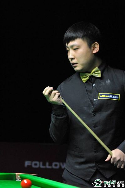 马的经历 马的经历