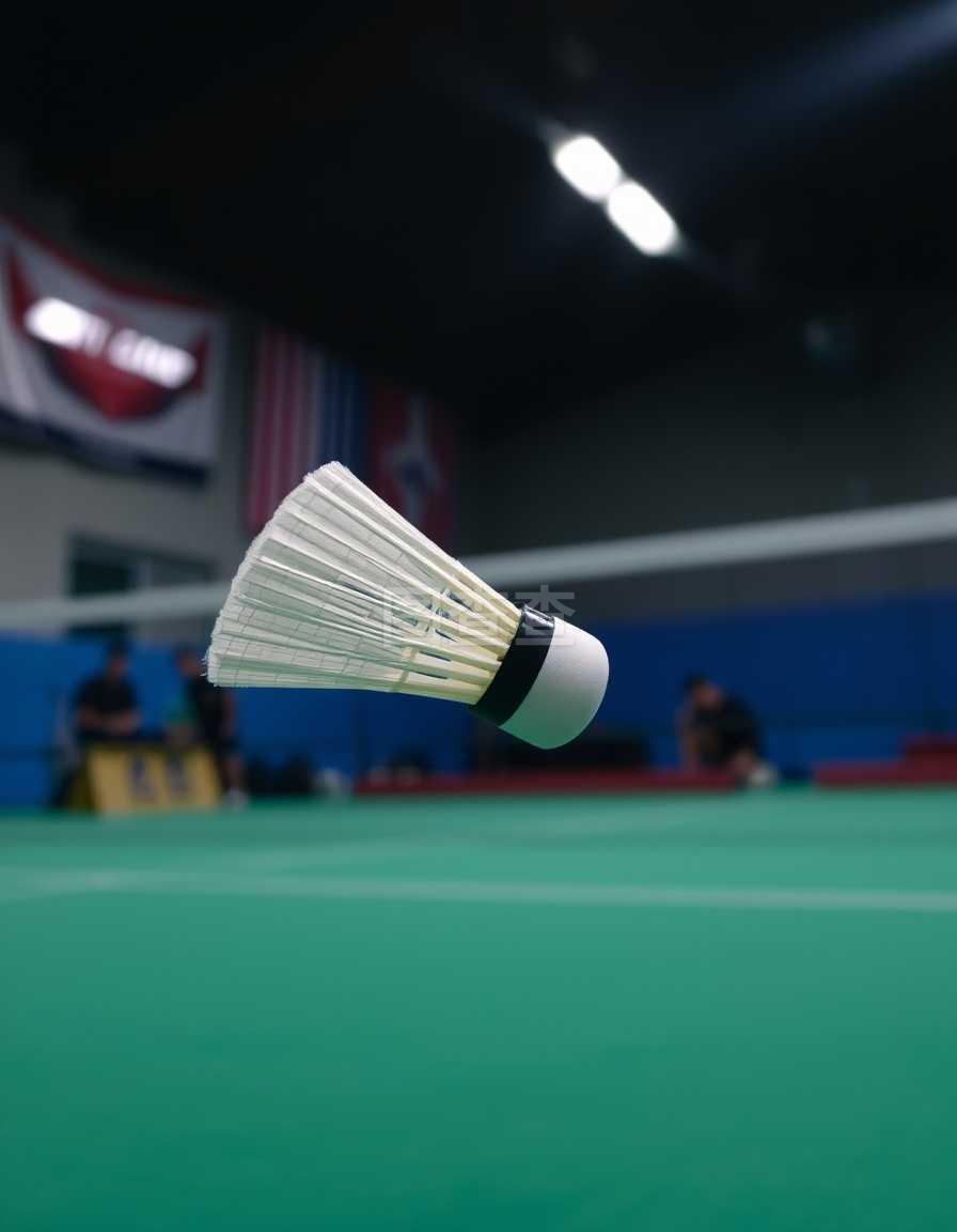 联赛中的排 联赛中的排