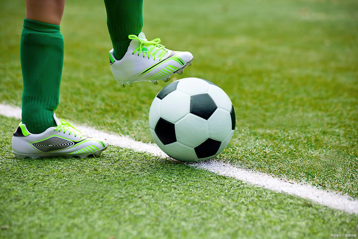 放大内野防 放大内野防